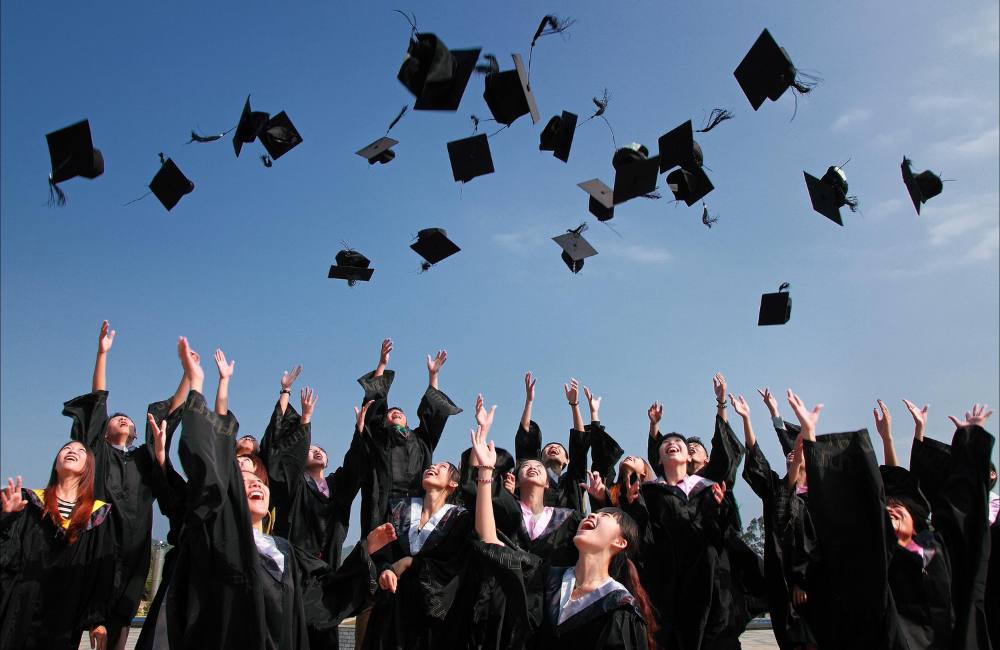 Most In-Demand Courses for International Students